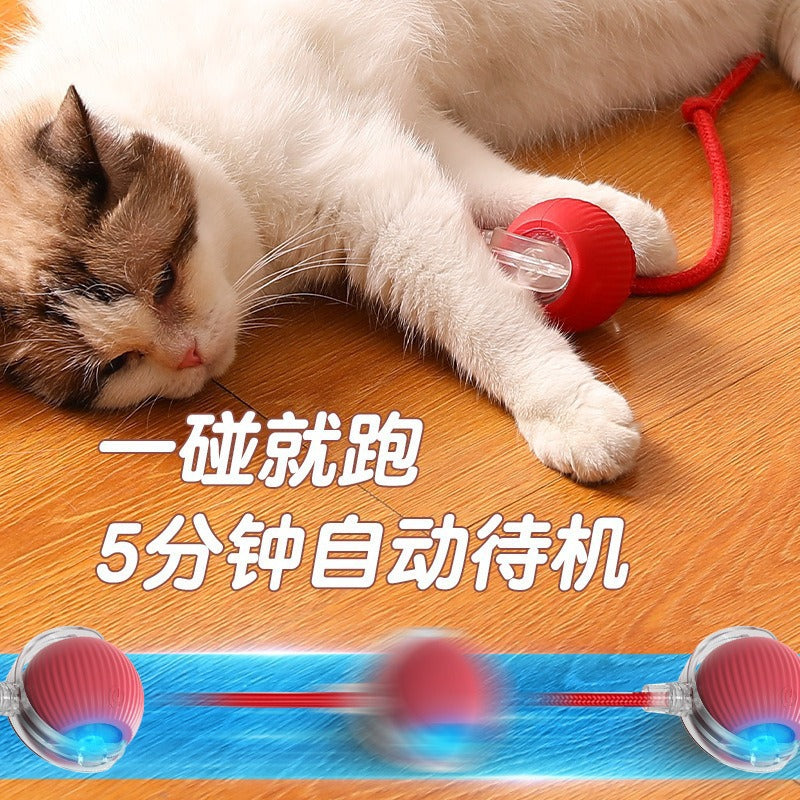 Cross-border intelligent automatic dog walking ball dog toy ball bite-resistant self-entertaining pet cat amusement artifact dog ball cat ball