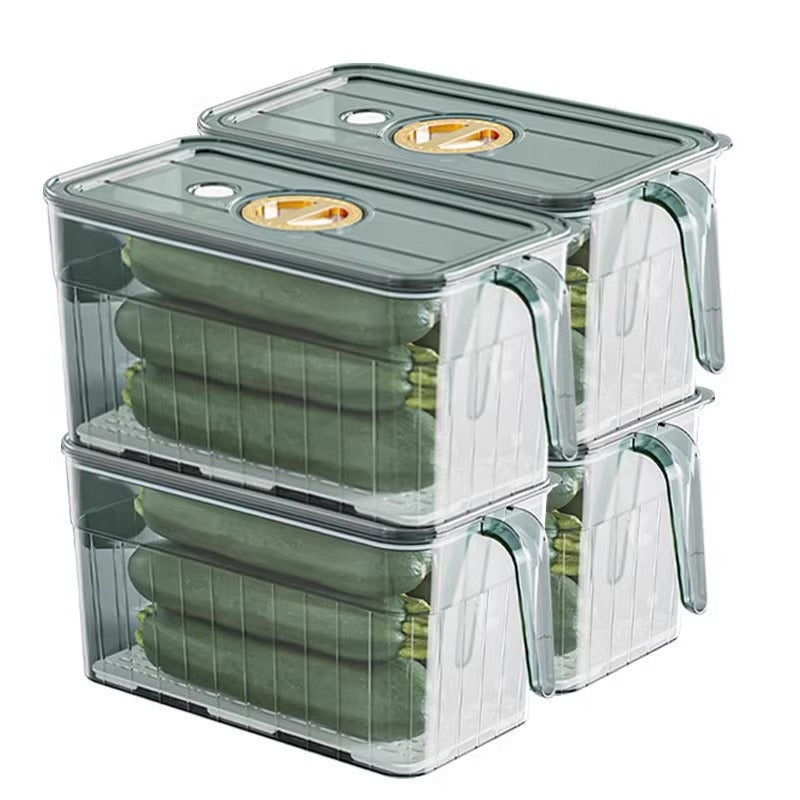 Refrigerator fresh-keeping storage box food-grade kitchen special vegetable fruit egg frozen storage box with handle