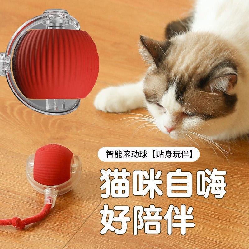 Cross-border intelligent automatic dog walking ball dog toy ball bite-resistant self-entertaining pet cat amusement artifact dog ball cat ball