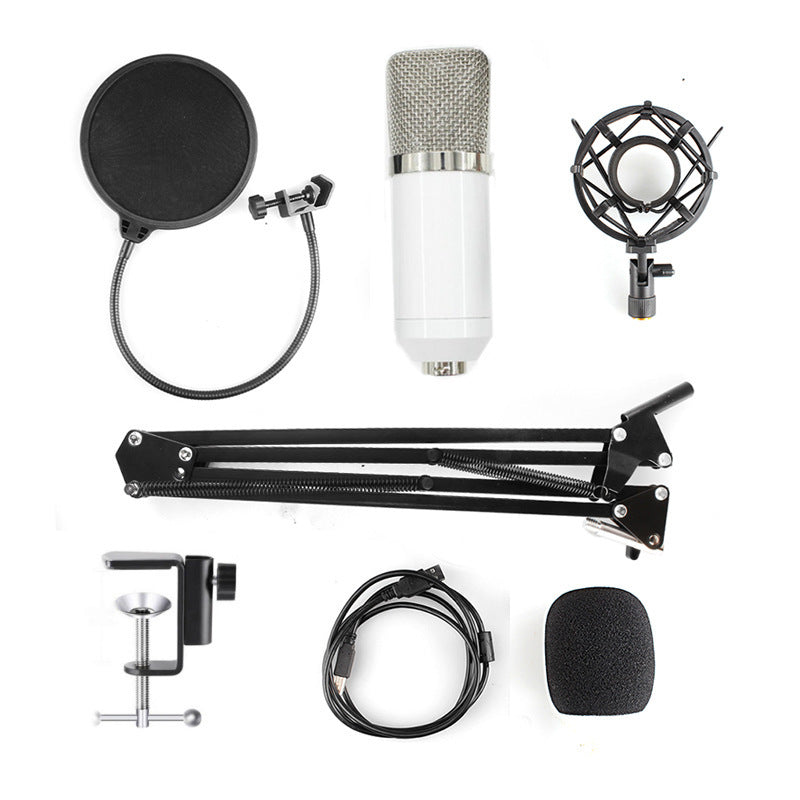 Cross-border special supply of new USB condenser microphone computer microphone bm-800 BM-700USB microphone karaoke