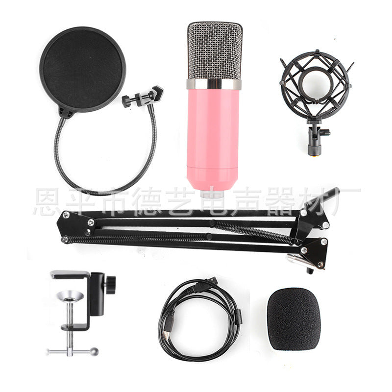 Cross-border special supply of new USB condenser microphone computer microphone bm-800 BM-700USB microphone karaoke