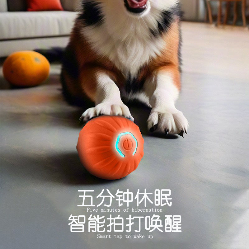 New pet dog rolling ball electric cat toy teeth grinding and biting indoor boredom training cat ball jumping ball