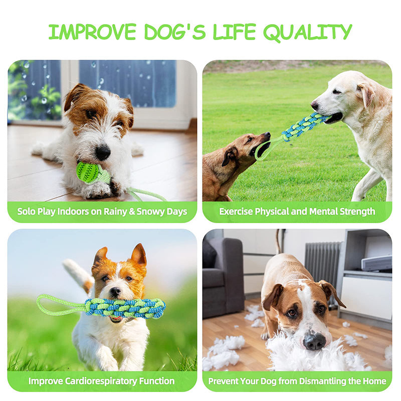 Outdoor and indoor dog teeth cleaning chew rope dog interactive tug of war rope elastic rope door toy pet teeth cleaning rope