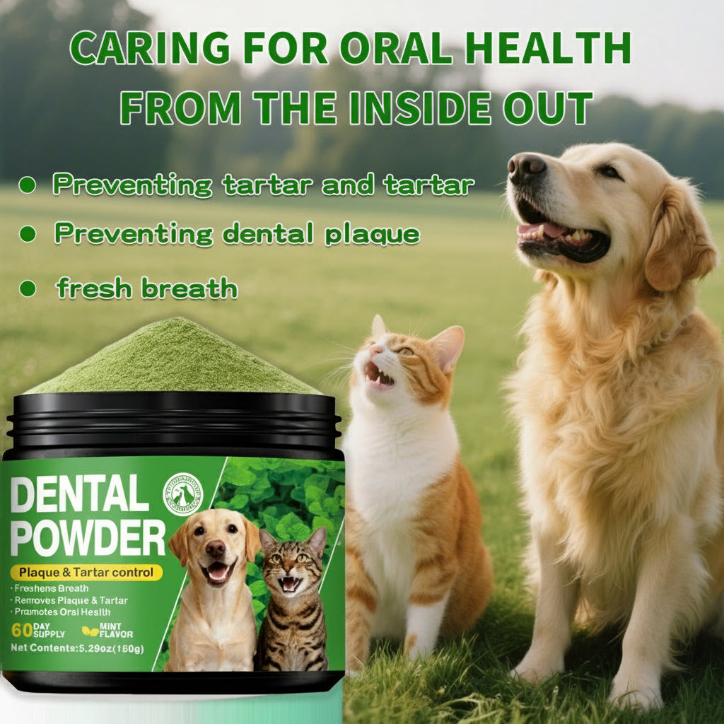 Amazon's hot-selling pet dental powder - cleans teeth, improves tartar, and freshens breath - wholesale from the manufacturer.