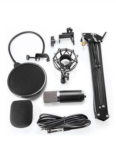 Cross-border special supply of new USB condenser microphone computer microphone bm-800 BM-700USB microphone karaoke