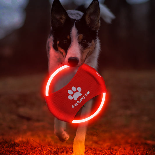 Pet Luminous Supplies LED Rechargeable Pet Luminous Frisbee Dog Training Toys Pet Dog Toy Frisbee
