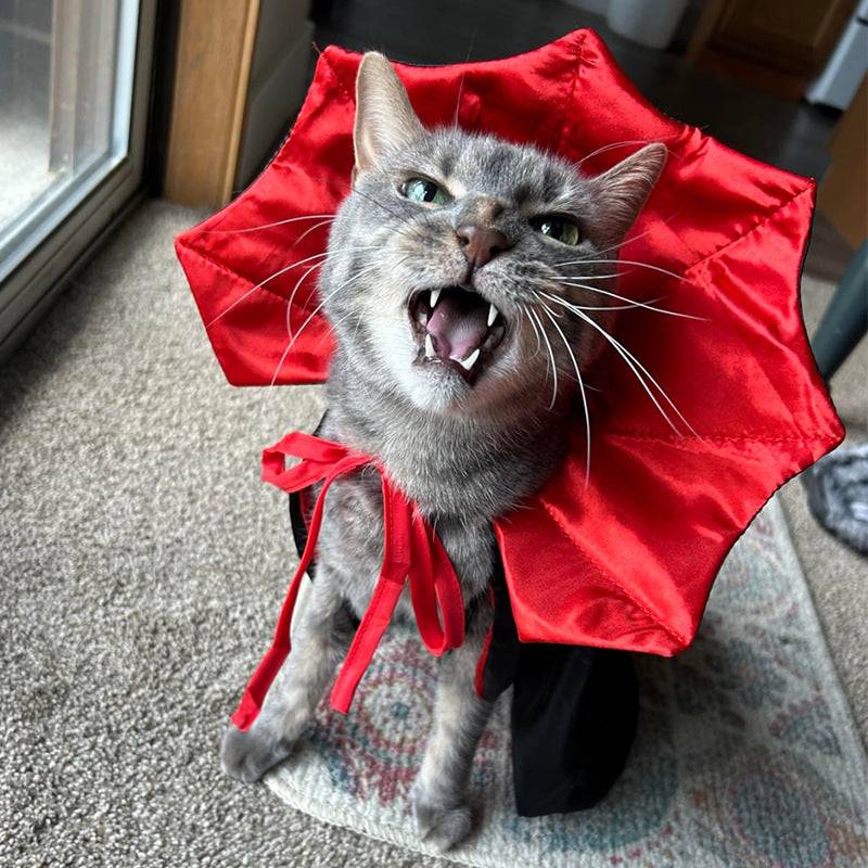 Pet cross-border Halloween costume witch vampire cat cloak dog Halloween cape cross-border hot sale