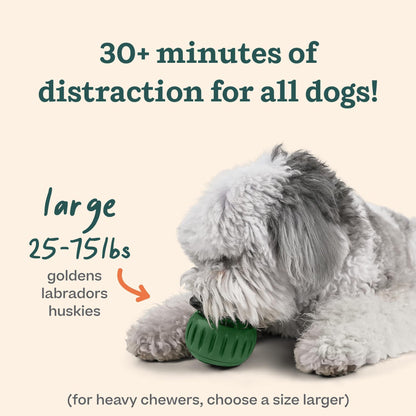 Woof Pupsicle Dog Food Dispenser Toy Silicone Slow Feeder Pet Feeding Ball TPR Teething Toy