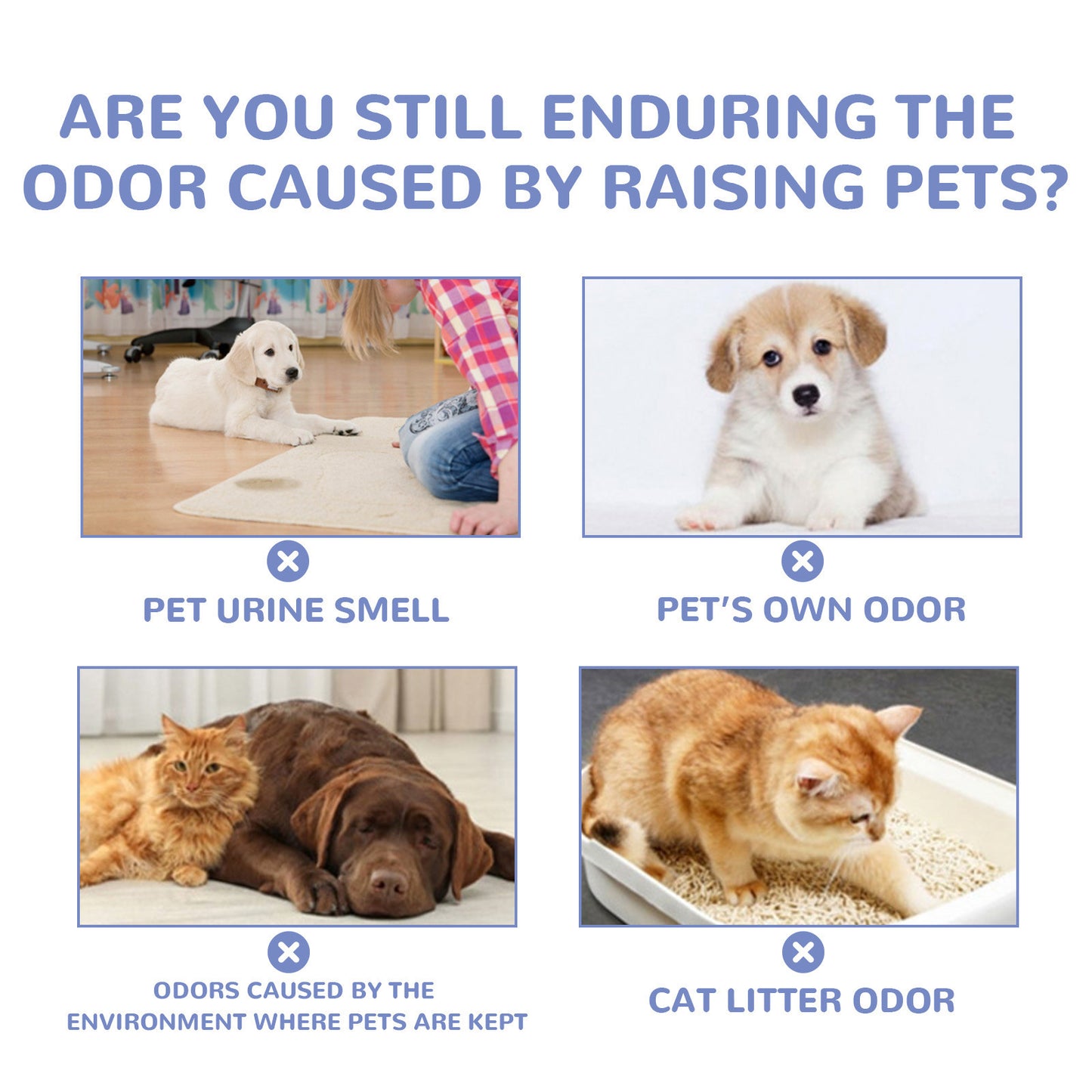 Cross-border direct supply of pet deodorizing gel, in stock, for home use, removes odors from dogs and cats, and air freshener.