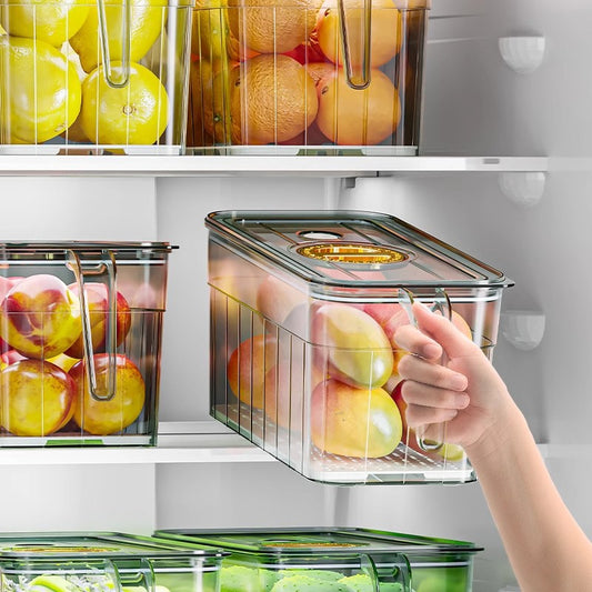 Refrigerator fresh-keeping storage box food-grade kitchen special vegetable fruit egg frozen storage box with handle