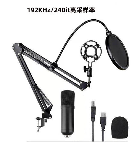 Cross-border special supply of new USB condenser microphone computer microphone bm-800 BM-700USB microphone karaoke