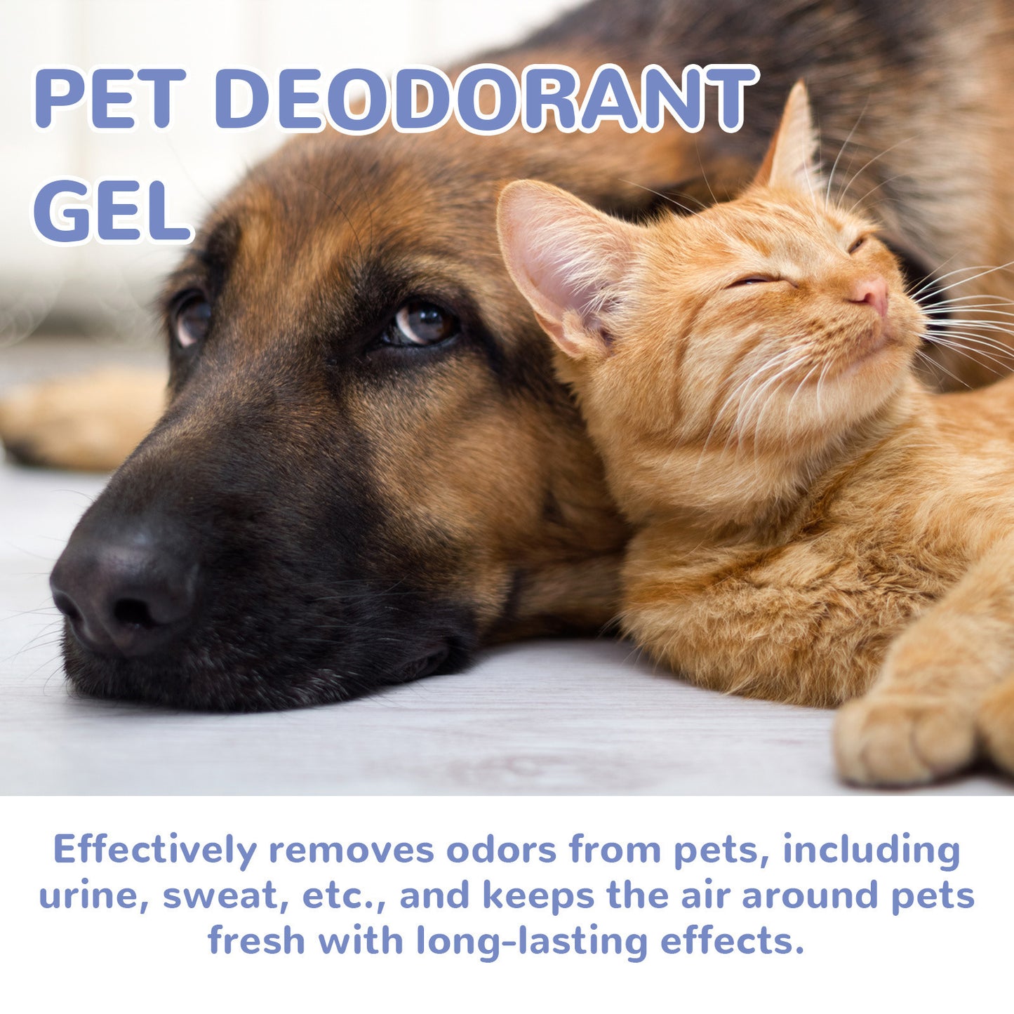 Cross-border direct supply of pet deodorizing gel, in stock, for home use, removes odors from dogs and cats, and air freshener.