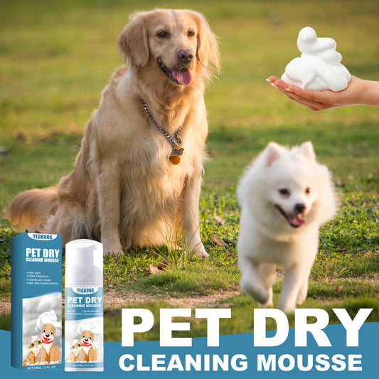 Yegbong Pet Dry Shampoo Mousse Shampoo for Kittens and Dogs: No water needed, removes odors, softens fur, and cleanses.